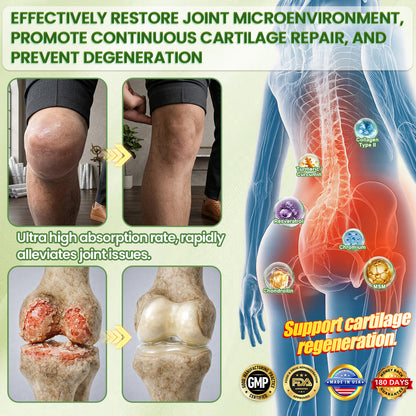 🇺🇸80% OFF Offer — Double Your Results Without Interruption, Add More Now, 1–3 Day Delivery, 180-Day Guarantee, Limited-Time Offer (While Stocks Last)