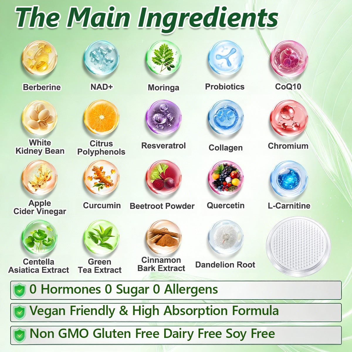 DR. HONOR® Official Store – Advanced 10-in-1 Metabolic Nano Patch | Boost Metabolism & Support Weight Management