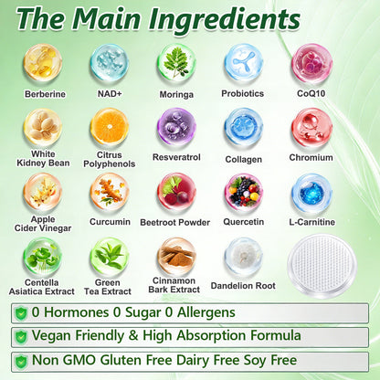 DR. HONOR® Official Store – Advanced 10-in-1 Metabolic Nano Patch | Boost Metabolism & Support Weight Management